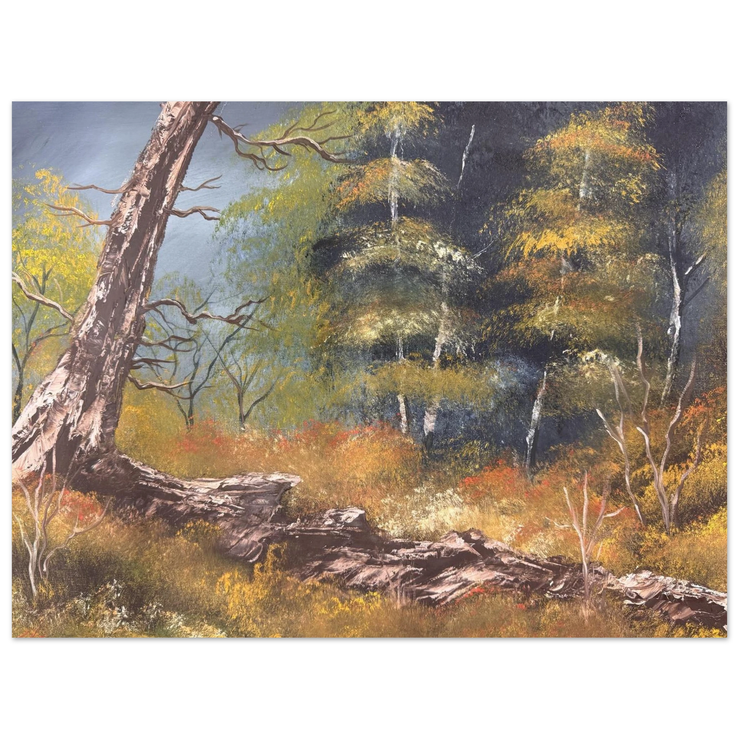 0c0bf176-1374-42d6-94c7-de55d5139b11