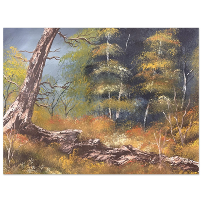 0c0bf176-1374-42d6-94c7-de55d5139b11