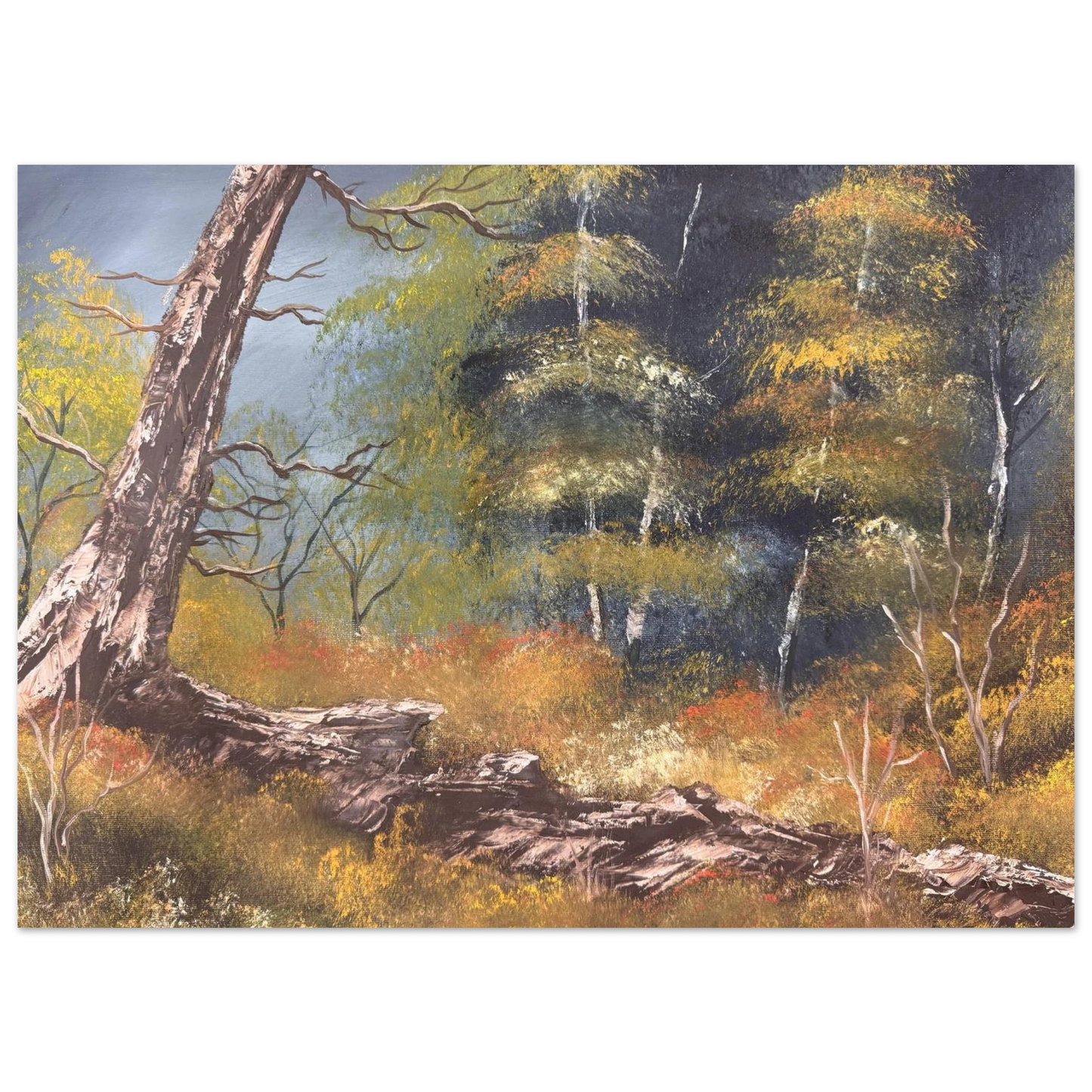 895a4a94-31ff-4632-a191-cc05773b3d8f