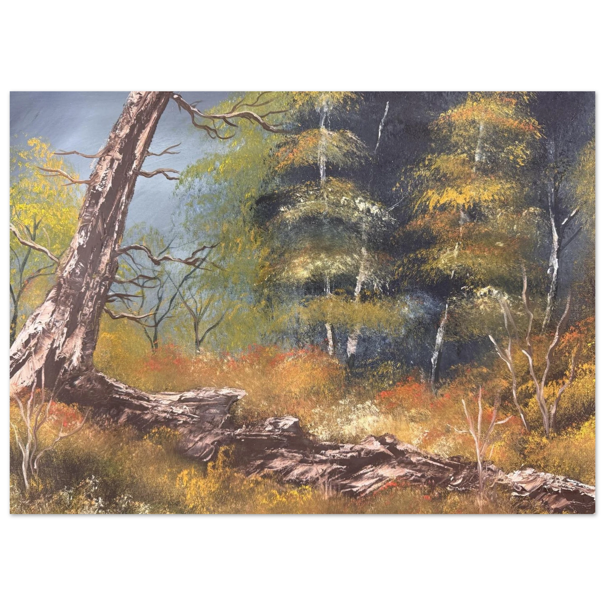 895a4a94-31ff-4632-a191-cc05773b3d8f