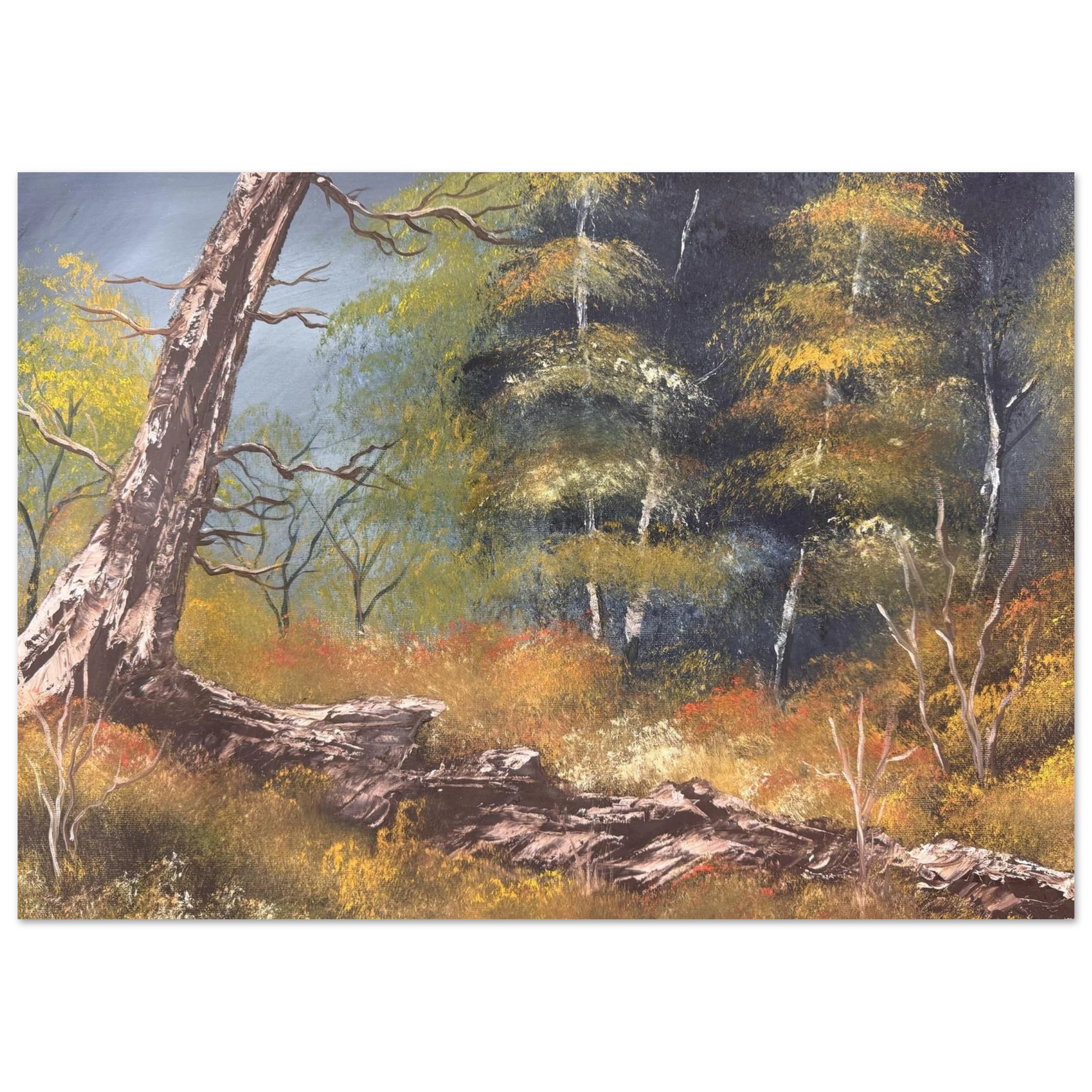 d82ab92f-c3cd-4349-aed0-2cccbeed43df