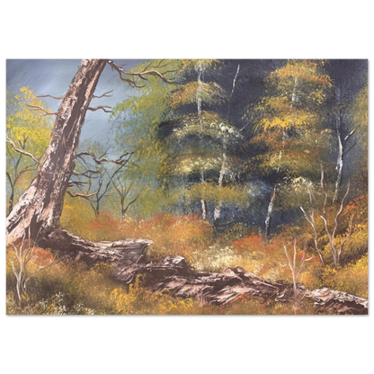 d82ab92f-c3cd-4349-aed0-2cccbeed43df