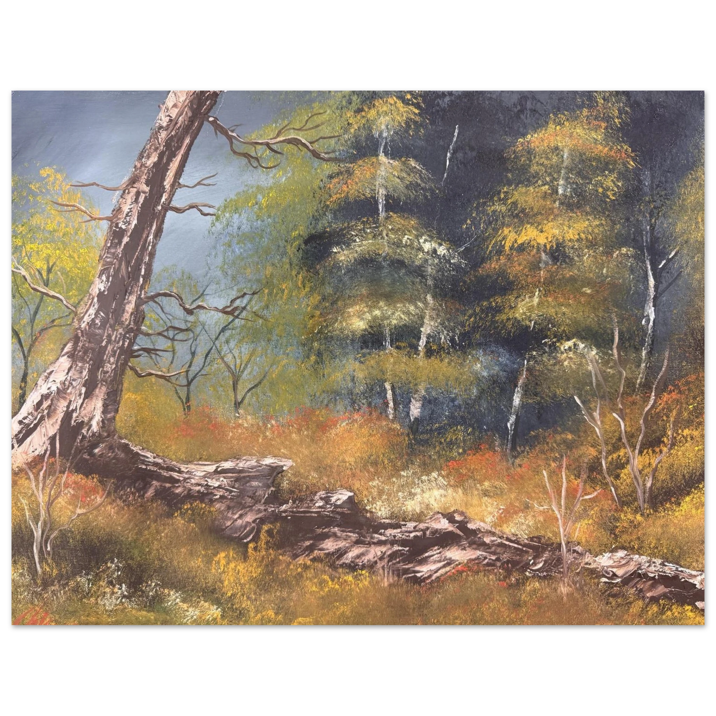 dbd1a5e8-d991-445e-b54b-f9a6f8005c8e