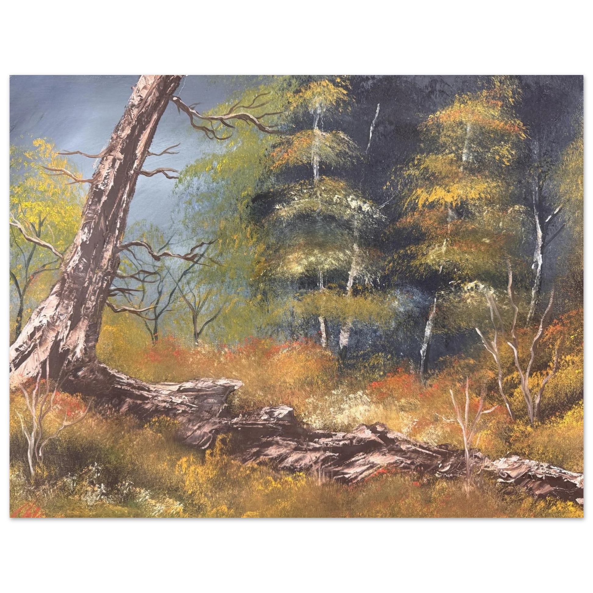 dbd1a5e8-d991-445e-b54b-f9a6f8005c8e