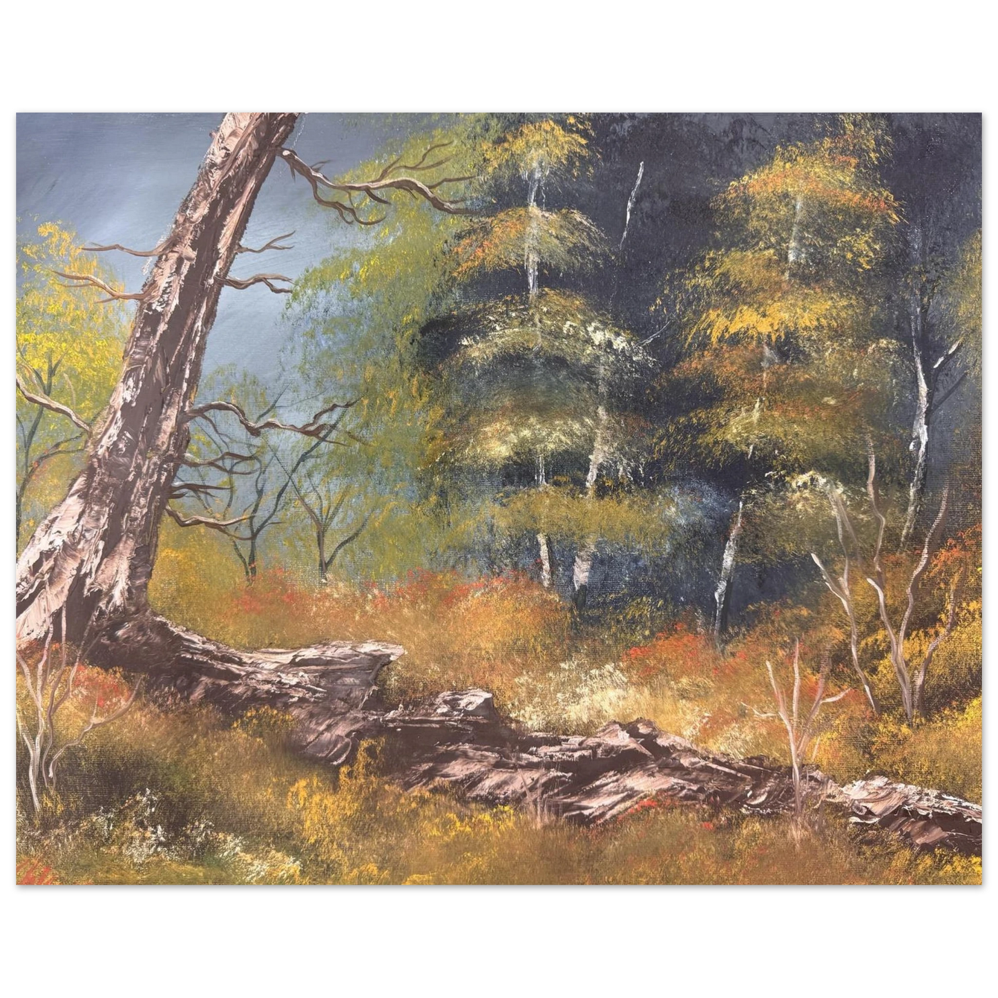 f53e6765-24f4-4ebd-ace6-9d330fc1fb35